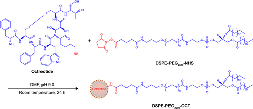 Figure S1 Synthetic routes for DSPE-PEG2000-OCT conjugates.Abbreviations: DMF, dimethylformamide; DSPE-PEG2000, polyethylene glycol-distearoyl phosphatidylethanolamine; NHS, N-hydroxysuccinimide; OCT, octreotide.