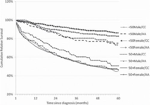 Figure 1. Cumulative relative survival rates by calendar period of diagnosis in the post-imatinib era (2002–2008).