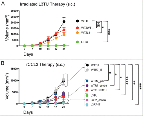 Figure 6. rCCL3 or irradiated L3TU significantly slows established tumor growth. Mice were injected with 1 × 106 WTTU cells in the left flank. 7 days later mice were injected in the footpad or intra-tumorally (i.t.) with whole tumor lysate from lethally irradiated WTTU (iWT) or L3TU (iL3), or recombinant CCL3 (rCCL3; 100 ng). A, WTTU tumor growth in mice that received whole cell lysates of iWT or iL3. B, Tumor growth in mice that received either i.t. or s.c. injections of rCCL3. Subcutaneous injections were administered either ipsilaterally (ipsi) or contralaterally (contra) relative to WTTU 7-days post tumor injection (R7). Data shown as compilation of 2 independent experiments with n = 5–10 mice per group. NS: not significant; *, P = 0.01 to 0.05; **, P = 0.001 to 0.01; ***, P = 0.0001 to 0.001; ****, P < 0.0001. Standard error is shown as SD.