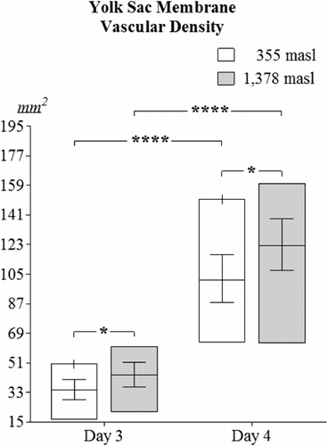 Figure 2. Values of vascular density of the YSM of three- and four-day-old chicken embryos incubated at 355 and 1378 masl. The rectangles show minimum and maximum values; standard error bars =95% confidence interval. Statistical differences: *p<0.05; ****p<0.0001.