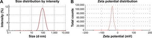 Figure 2 Size distribution (A) and zeta potential (B) of NRG-SLNs.