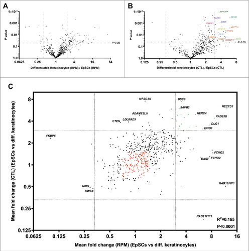 Figure 2. Many circRNAs are upregulated during EpSCs differentiation. (A) Volcano plot of fold changes in RPM upon differentiation. (B) Volcano plot of fold changes in CTL ratios upon differentiation. (C) Many upregulated circRNAs were upregulated independent of their respective host genes and a positive correlation between fold change in RPM and fold change in CTL ratios was observed upon differentiation. Upregulated circRNAs (RPM and CTL fold change >3) are indicated in green and stably expressed circRNAs (RPM and CTL fold change <1.5 and >0.67) are indicated in red.