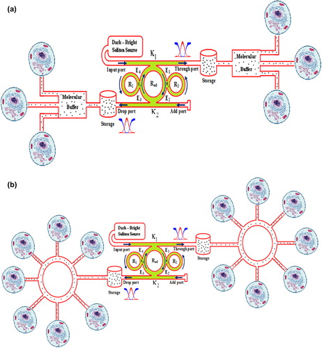Figure 7. Drug delivery networks for long-distance drug delivery targeting security using optical capsules, where (a) tree network, (b) ring and star networks.