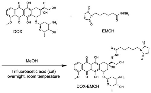 Figure 6 Synthetic scheme of DOX–EMCH.Abbreviations: DOX, doxorubicin; EMCH, N-(ɛ-maleimidocaproic acid) hydrazide, trifluoroacetic acid salt; MeOH, methanol.