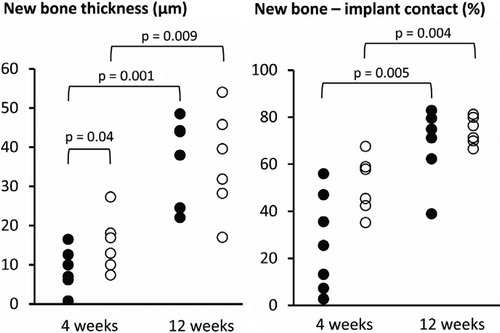 Figure 4. Thickness of new bone layer on the implant surface (left) and percentage of implant surface covered with new bone (right) for non-coated (•) and AD-coated (○) titanium implants 4 and 12 weeks after surgical operation. Each data point is shown, and statistically significant differences between the groups and time points are indicated.