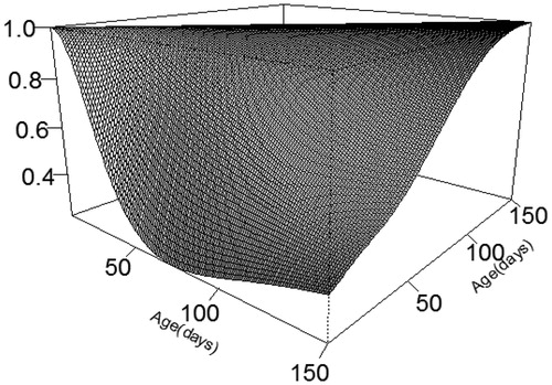 Figure 4. Genetic correlations between weights obtained with records taken at exact standard ages.