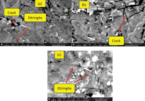 Figure 11. SEM images for immersed in sulfuric acid (1.5N) for 60 days for (a)B,(b) AH10 and (c)AH10-F.