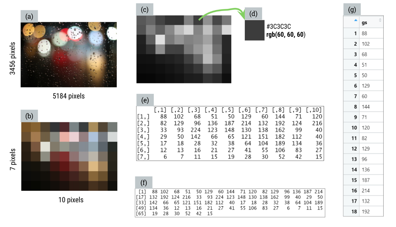 Figure 1. Six different representations of a photograph: (a) color photo; (b) dimensions reduced; (c) converted to grayscale; (d) HEX code and RGB values; (e) matrix; (f) vector; (g) data frame/table