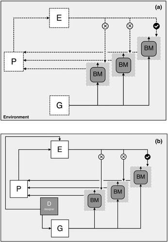 Figure 5. Schema 3 representing the evolution through natural selection. ‘Designs’ are generated (G) through random mutations which alter the biological function and thus performance (P). This performance is evaluated (E), such that the ‘fittest survive’ (indicated by the tick mark) to reproduce. These activities all take place within specific environments and, thus, the environment box is redrawn to enclose all activities rather than the biological system (BS). (b) Schema 4 representing the evolution through selective breeding and directed evolution. Both approaches utilise the mechanisms of evolution by natural selection but introduce explicit, designer (D) controlled, evaluation of performance based on the desired trait and, in the case of directed evolution, accelerating the generation (G) of variations through the introduction of mutations.