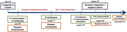 Figure 1 Case study timeline.