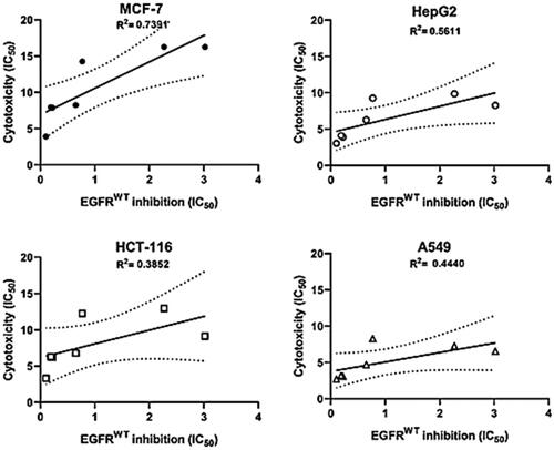 Figure 3. Correlation between EGFRWT inhibition and cytotoxicity on MCF-7, HepG-2, HCT-116 and A549 cell lines.