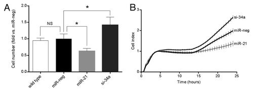 Figure 1. Overexpression of miR-21 reduces cell number, while knockdown of miR-34a increases cell number in the absence of cytokines. (A) Cells (50 000 cells) were cultured for 72 h prior to trypsinization and manual counting in a counting chamber. Results of 5 independent experiments are shown as means + SEM. Statistical significance was determined using a 2-way paired t test. * P < 0.05 vs. miR-neg. (B) 20 000 cells were seeded pr well in the xCELLigence E-plate and cell index measured in real-time for 24 h. The graph depicts the average cell index ± SEM determined from triplicates from each time point from a single experiment.