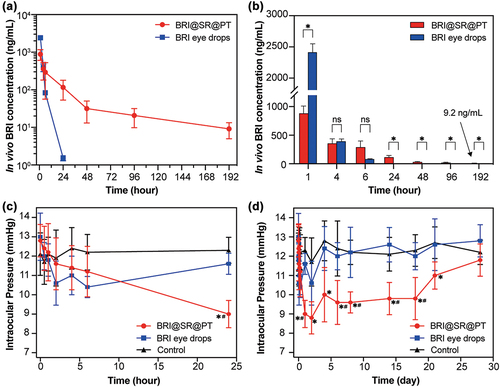 Figure 6. In vivo BRI concentration in rabbit aqueous humor and IOP-lowering effects after administration of the BRI@SR@PT or BRI eye drops (0.15% w/w). (a, b) The curves and histograms of BRI concentration in aqueous humor (four rabbits survived to the final observation point and n = 4). (c, d) The short-term and long-term IOP curves (n = 5) during 28 d. Plots with * or # represent statistically significant differences compared to that in the control group (no any operation) or BRI eye drop group.