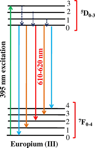 Figure 6. Energy level diagram of europium (III) ion showing different transitions in prepared materials.