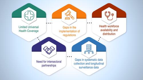 Figure 3 Critical challenges in combating NCD burden in low- and middle-income countries.