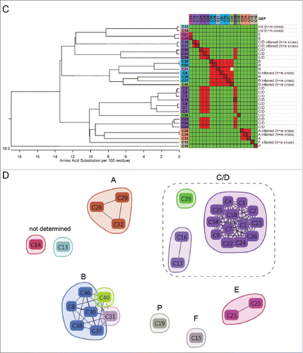 Figure 4. (Continued)