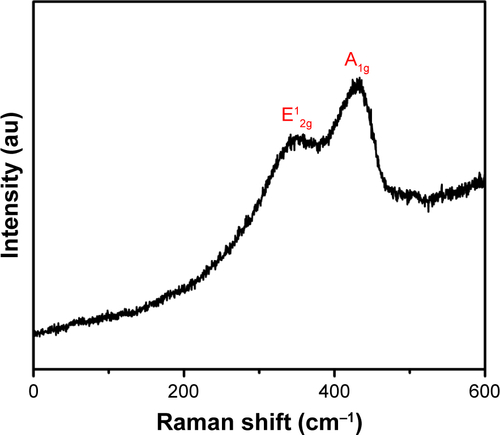 Figure S2 Raman spectra of the WQDs (Ex: 535 nm).