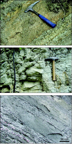 Figure 5. (A) Alternating yellowish microconglomerate and gray marl of the Moransengo sandsones (SE of C. Micela); (B) Whitish calcareous marls of the Pietra da Cantoni (South of Scalaro); (C) Light gray to whitish hybrid arenite and sandstone of the Tonengo sandstones (East of Pareglio).