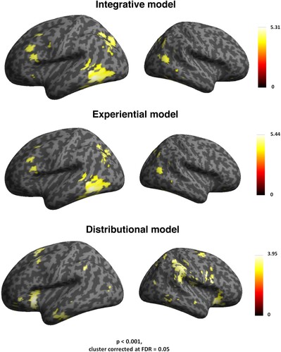 Figure 2. Results from whole-brain searchlight RSA (on the left). Left top panel: widespread activity triggered by the integrative model RDM in distributed prefrontal, premotor, inferior temporal and parieto-occipital cortex. Left middle panel: comparable correlational effects of the experiential model in the pars opercularis of the inferior frontal cortex (BA 44), premotor, inferior temporal and parietal cortex. Left bottom panel: activity triggered by the distributional model RDM in higher-order regions in left inferior frontal cortex (BA 47) and anterior temporal cortex. Results from model comparisons for the whole-brain searchlight RSA (on the right). Right top panel: correlation differences between the brain activity RDMs correlating with integrative model RDM minus the brain activity RDMs correlating with experiential model RDM in left posterior ITG and MTG. Right bottom panel: correlation differences between brain activity RDMs correlating with the integrative model RDM minus the brain activity RDMs correlating with distributional model RDM were seen in dorsal pre-supplementary motor area, and right AG.