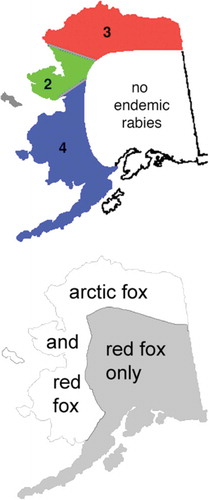 Figure 1. Distribution of rabies (top panel) and foxes in Alaska.Reproduced with permission from Ref. [Citation27]. The numbers refer to the rabies virus variants found in the indicated regions.