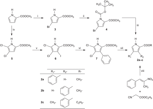 Scheme 2.  Synthesis of phenyl-1H-pyrrole-2-carboxylic acid alkyl esters (2a–c). Reagents and conditions: (i) Br2, CCl4,–10°C; (ii) Boc2O, DMAP, CH3CN, RT; (iii) Method A: C6H5-B(OH)2, Pd[P(C6H5)3]4, aq. Na2CO3, DMF, Δ; Method B: (1) C6H5-B(OH)2, Pd[P(C6H5)3]4, toluene, K2CO3, EtOH, Δ; (2) CF3COOH, CH2Cl2, RT; (iv) SO2Cl2, CHCl3, RT; (v) I2, CF3COOAg, CHCl3, RT; (vi) C6H5-B(OH)2, Pd(CH3COO)2, acetone, aq. K2CO3, Δ; (vii) H2, Pd/C, MeOH, 50 psi; (viii) DBU, THF/t-BuOH, 50°C.