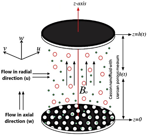 Figure 1. Model physical abstract.