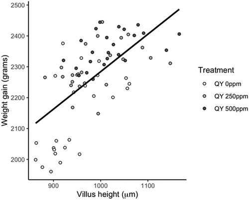 Figure 1. The QY-induced improvements in villus height regressed against final body weight of coccidiosis-vaccinated broilers reared in an enteric disease challenge