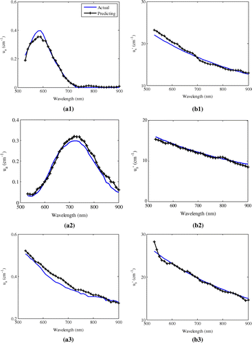 Figure 8. The prediction results of μa and μs′ for three simulation phantoms using MC simulation data: (a1) μa of blue dye, (b1) μs′ of blue dye, (a2) μa of green dye, (b2) μs′ of green dye, (a3) μa of black ink and (b3) μs′ of black ink.