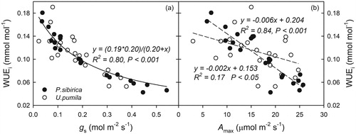 Figure 5. Comparisons of the intrinsic water use efficiency (WUEi), stomatal conductance (gs), and maximum photosynthetic capacity (Amax) between Populus sibirica and Ulmus pumila. (a) The relationship between gs (mol m−2 s−1) and WUEi (mmol mol−1) in P. sibirica and U. pumila. The curve is a non-linear regression line fit to all data. (b) The relationship between Amax (μmol m−2 s−1) and WUEi in P. sibirica and U. pumila. The dashed lines are linear regression through the data points for the two individual species. Closed circles (•) and open circles (○) represent P. sibirica and U. pumila, respectively.