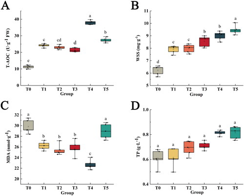 Figure 2. The effect of amino acid biostimulants on the antioxidant properties of Epipremnum aureum.(The error bars represent the standard deviation (n = 5), and the same letters on the error bars indicate no significant difference at the 0.05 probability level.) T-AOC: total antioxidant capacity (A), WSS: soluble sugar (B), MDA: malondialdehyde (C), TP: total protein (D).