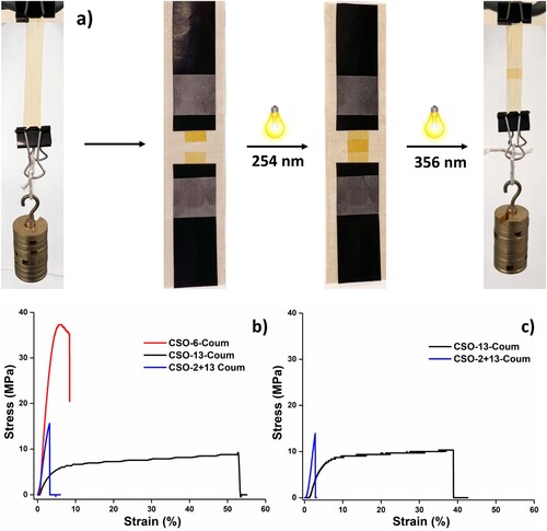 Figure 6. a) Light-stimulated healing process of the NIPUs and Stress-Strain curves of b) pristine NIPUs and c) healed NIPUs.