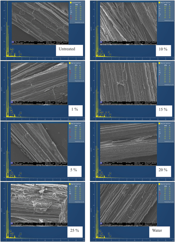 Figure 12. Variations of surface morphologies caused by the treatment.