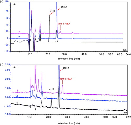 Figure 3. LC-UV chromatograms of microcentrifuge tubes extract with λ = 210 nm (a) and λ = 254 nm (b). Trace 1 represents freshly prepared blank of reaction buffer, trace 2 is GTE and trace 3 BTE. DTT1 and DTT2 represent the reduced and oxidized forms of DTT, respectively. Due to air oxidation, the reduced form of DTT was converted to the oxidized form. The time from preparation to injection was different for the blank solution and the tube extraction solutions, which caused one extra peak (DTT1) in the chromatogram of trace 1. LC separation conditions were identical to those mentioned in Figure 2, except the flow rate was 0.2 mL/min, which is comparable to the LC/MS method.