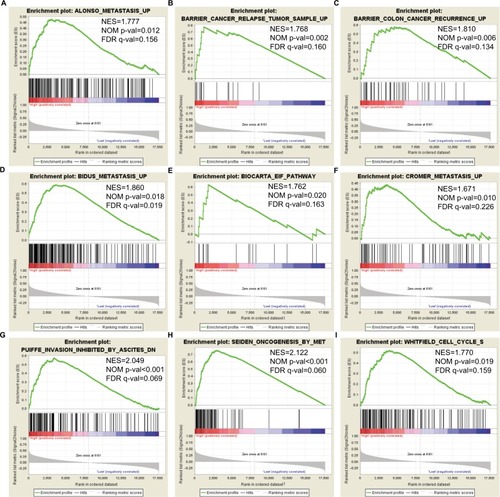 Figure 7 GSEA outcomes achieved for KEGG pathway analysis for higher and lower levels of expression of DCTN4, using gene set c2.Note: (A) Metastasis; (B) cancer relapse tumor sample; (C) colon cancer recurrence; (D) metastasis; (E) EIF pathway; (F) metastasis; (G) inhibited invasion; (H) oncogenesis; (I) cell cycle S.Abbreviations: DCTN, dynactin; EIF, eukaryotic initiation factor; ES, enrichment score; FDR, false discovery rate; GSEA, Gene Set Enrichment Analysis; KEGG, Kyoto Encyclopedia of Genes and Genomes; NES, normalized enrichment score; NOM, nominal.