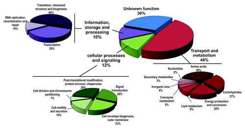 Figure 4. Functional distribution of the Hfq-bound mRNAs according to the COG database.