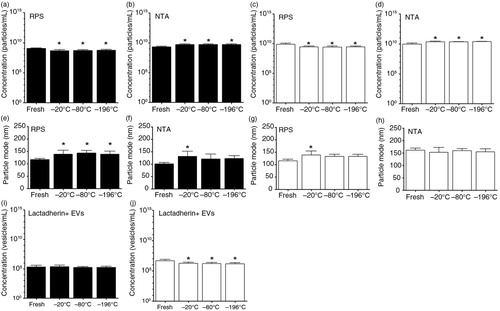 Fig. 8.  Effect of a single freeze–thaw cycle and storage duration of EVs in urine and saliva. Urine and saliva were collected from fasted and healthy individuals (n=5). EVs in fresh urine and in urine frozen at −20, −80 or −196°C and stored for 1 year at −80°C, were measured by RPS (a) and NTA (b). Similarly, EVs in fresh saliva and in saliva frozen at −20, −80 or −196°C and stored for 1 year at −80°C were measured by RPS (c) and NTA (d). The particle mode diameter (nm) of urinary EVs was determined by RPS (e) and NTA (f). Also, in saliva samples the particle mode diameter (nm) was determined by RPS (g) and NTA (h). Concentrations of lactadherin+ EVs in urine (i) and in saliva (j) samples were measured by FCM. The asterisk (*) indicates that the conditions of a single freeze–thaw cycle and storage duration have significant effects on EVs compared to the fresh condition (p<0.05).