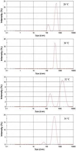 Figure 4. Particle size distribution profiles of copolymer in water at 28–34 °C.