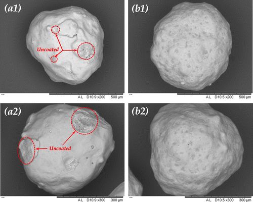 Figure 12. Scanning electron microscopy (SEM) micrograph of the top view of single 2.35R sodium silicate coated SPC particle at coating/core ratio of (a) 13 wt.% and (b) 27 wt.%.