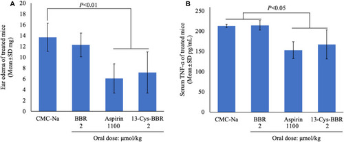 Figure 2 Effect of 13-Cys-BBR on ear edema and serum TNF-α: (A) effect of 13-Cys-BBR on ear edema; (B) effect of 13-Cys-BBR on serum TNF-α of ear edema mice; n=9.