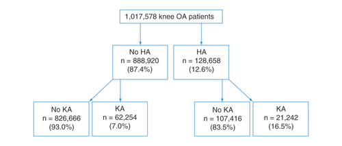 Figure 1. Knee osteoarthritis patient distribution. HA: Hyaluronic acid; KA: Knee arthroplasty; OA: Osteoarthritis.