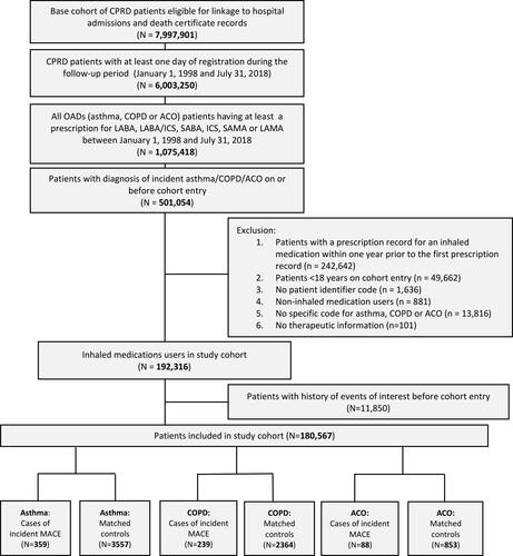 Figure 1 Flowchart of number of patients in the base and study cohort.