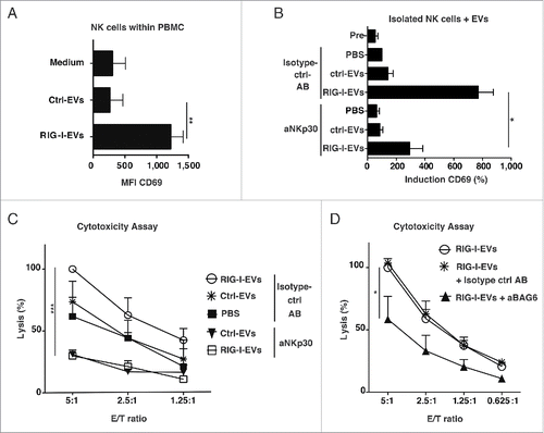 Figure 3. BAG6-positive RIG-I-EVs induce enhanced NK cell cytotoxicity in vitro. (A) PBMCs were incubated over night with RIG-I-EVs versus ctrl-EVs (EV protein amount: 10 µg/mL) and CD69 expression on NK cells (CD3 negative, CD56 positive) was determined by flow cytometry (n = 3). (B) Primary purified NK cells were left untreated (PBS) or incubated with 100 µg/mL (protein amount) RIG-I-EVs vs. ctrl-EVs for 36 h with (aNKp30) or without blocking (Isotype control antibody (AB)) of NKp30 (clone P30-15). Expression of CD69 (MFI) on NK cells after incubation with EVs was measured and normalized to PBS (n = 3). (C+D) Done as described in (B). (C) Cytotoxicity against untreated melanoma cells (D04mel) was assessed by europium release assay and results were normalized to 100% lysis by RIG-I-EVs in different E/T (n = 3). (D) Instead of NKp30 on NK cells, BAG6 was blocked on EVs with anti-BAG6 (aBAG6). Results were normalized to 100% lysis by RIG-I-EVs in an E/T-ratio of 5:1 (n = 3 for ctrl- and RIG-I-EVs + aBAG6, n = 2 for RIG-I-EVs + Isotype ctrl antibody). All error bars reflect mean ± s.d. *, ** and *** indicates p < 0.05, p < 0.01 and p < 0.001.