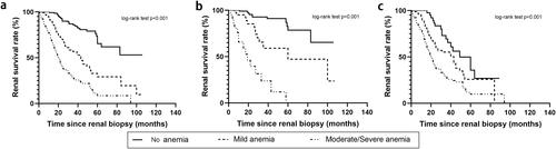 Figure 2. Kaplan-Meier survival curves for renal outcome according to baseline hemoglobin concentration by Renal Pathology Society glomerular lesions. (a) Kaplan-Meier survival curves for renal outcome stratified by the severity of anemia in the total 441 patients. (b) Kaplan-Meier survival curves for renal outcome stratified by the severity of anemia in 170 patients with mild glomerular lesions. (c) Kaplan-Meier survival curves for renal outcome stratified by the severity of anemia in 271 patients with severe glomerular lesions.