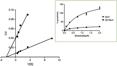 Figure 6 Michaelis–Menten and Lineweaver–Burk plots of the enzyme inhibition by the compound 1d.