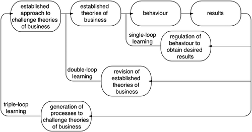 Figure 5. ‘Triple-loop learning’ after Beairsto & Ruohotie (2003: 134). Previously presented in Stenberg (Citation2004)