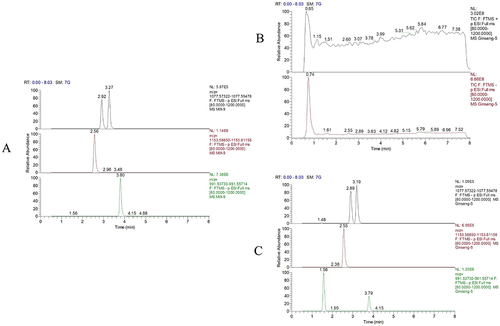 Figure 1 Chromatograms of reference substances (A), the total ion chromatograms of SGF (B), and chromatograms of reference substances in SGF (C). The retention times in (A) were: 2.56 min, ginsenoside Rb1; 3.27 min, ginsenoside Rb3; 2.92 min, ginsenoside Rc; 3.80 min, ginsenoside Rd. The retention times in (C) were: 2.55 min, ginsenoside Rb1; 3.19 min, ginsenoside Rb3; 2.89 min, ginsenoside Rc; 3.79 min, ginsenoside Rd. SGF, Shen’ge formula.