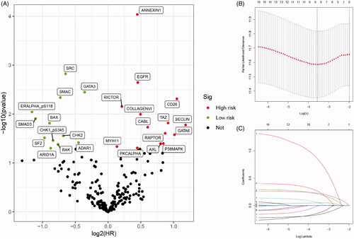 Figure 1. Selecting and identification of significantly prognostic proteins based on machine-learning algorithm in proteomics. (A) Volcano plot indicated the significantly prognostic proteins with high-risk (marked in red) and low-risk (marked in green). (B and C) Lasso Cox regression analysis was applied to further restrict the fit with prognostic values to obtain integrated prognosis-related proteins.