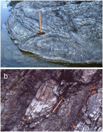 Figure 19. (a) Tightly folded chert (possible Noni Formation) on the margin of the late fault zone near Desa Noiltoko (Figure 4) with deformation typical of the Eastern Sector melange. (b) Strongly faulted grey chert (normal Noni Formation) on the boundary between Mutis Complex melange and Haulesi Formation (Palelo Group).
