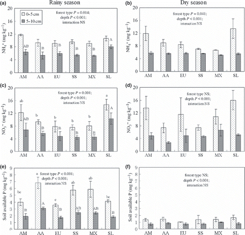 Figure 4 (a, b) Soil extractable ammonium, (c, d) nitrate and (e, f) available P in the rainy season (a,c,e) and (b,d,f) dry season of 2007 in the six forest types at Heshan station (mean ± standard error, n = 3). AA, Acacia auriculiformis; AM, Acacia mangium; EU, Eucalyptus citriodora; MX, native species mixture; SL, secondary shrubland; SS, Schima superba. Bars sharing the same superscript letter are not significantly different at P = 0.05 (least significant difference).