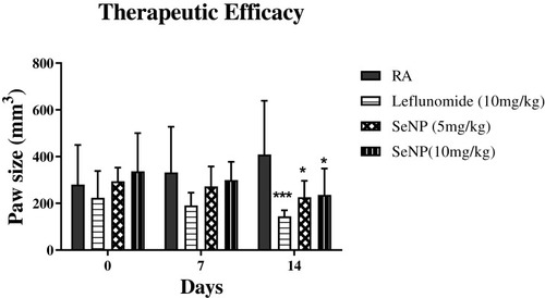 Figure 13 Paw measurements of SeNPs treated arthritic mice indicating a significant reduction in paw volume of Leflunomide (***P<0.001) and 5 mg/kg and 10 mg/kg SeNPs (*P<0.05) treated mice after completion of treatment. Statistical analysis was performed using two-way ANOVA with Bonferroni’s post hoc analysis and results are reported as mean±SD.